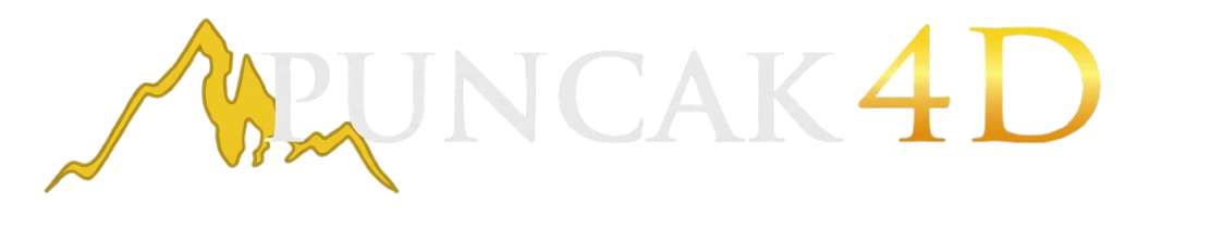 PUNCAK4D Logo